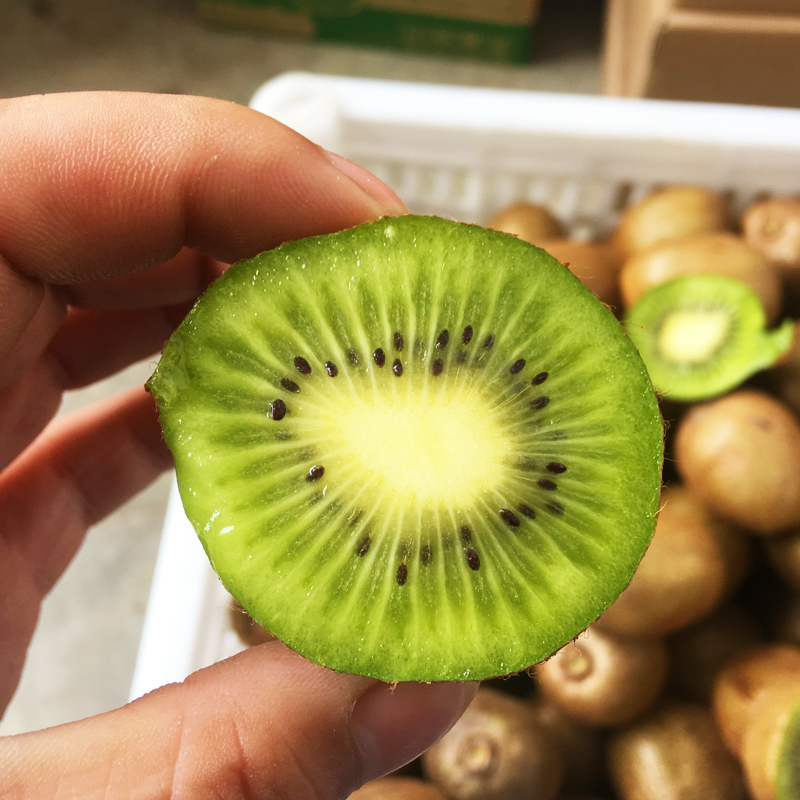 天使芳菲旗舰店天使芳菲 眉县徐香猕猴桃新包邮野生陕西绿心迷泥弥猴桃奇异果3