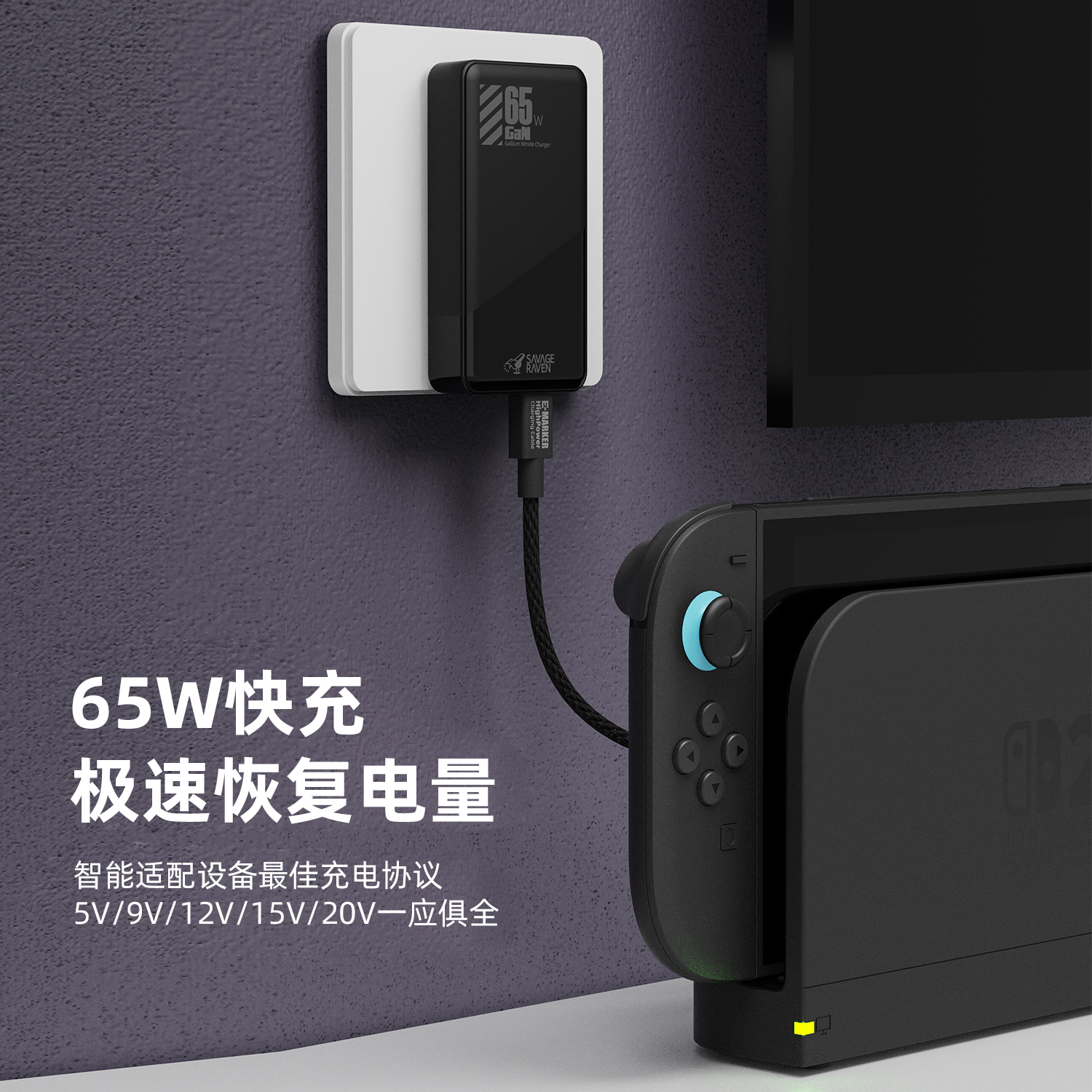 Skull & Co. 65W氮化镓充电器skullco骷髅雾鸦savage raven type C+A双口快充适用于SWITCH2/SD/ROG ALLY - 图0