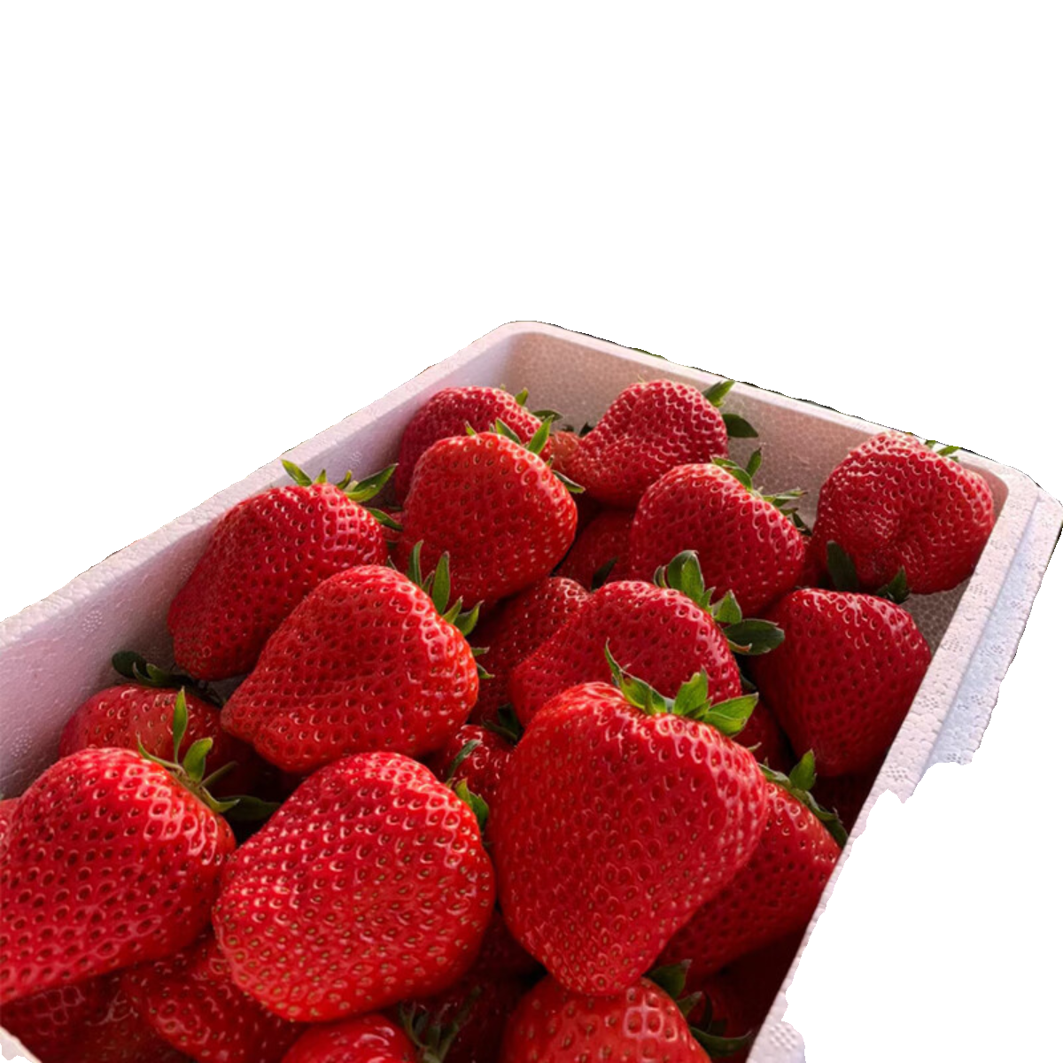 草莓新鲜水果礼盒5斤孕妇红颜奶油九九大99牛奶草莓整箱3顺丰包邮,淘宝优惠券,粉丝福利购,淘宝优惠卷