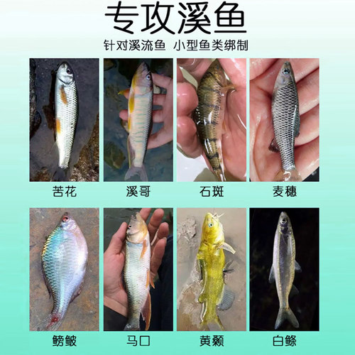溪流钓线组三粒漂专用小物白条马口逗钓子线双钩鱼线套装七星漂 - 图0