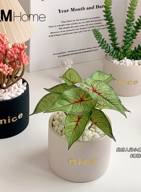 北欧仿真多肉绿植小盆栽