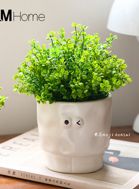 清新仿真绿植表情盆栽假花摆件