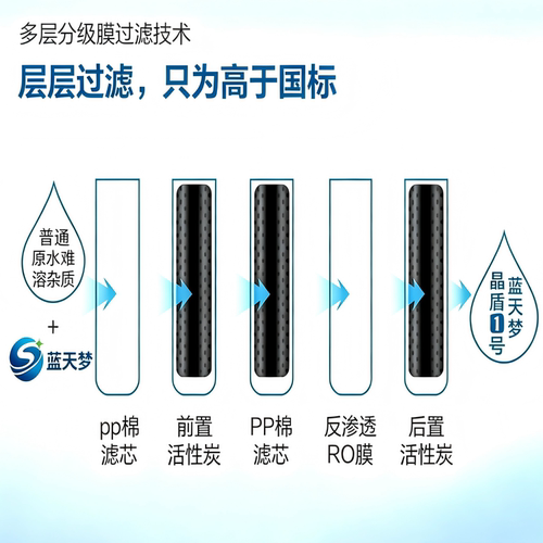 蓝天梦晶盾1号车用尿素10KG防结晶全效型尾气处理液高端高品质 - 图2