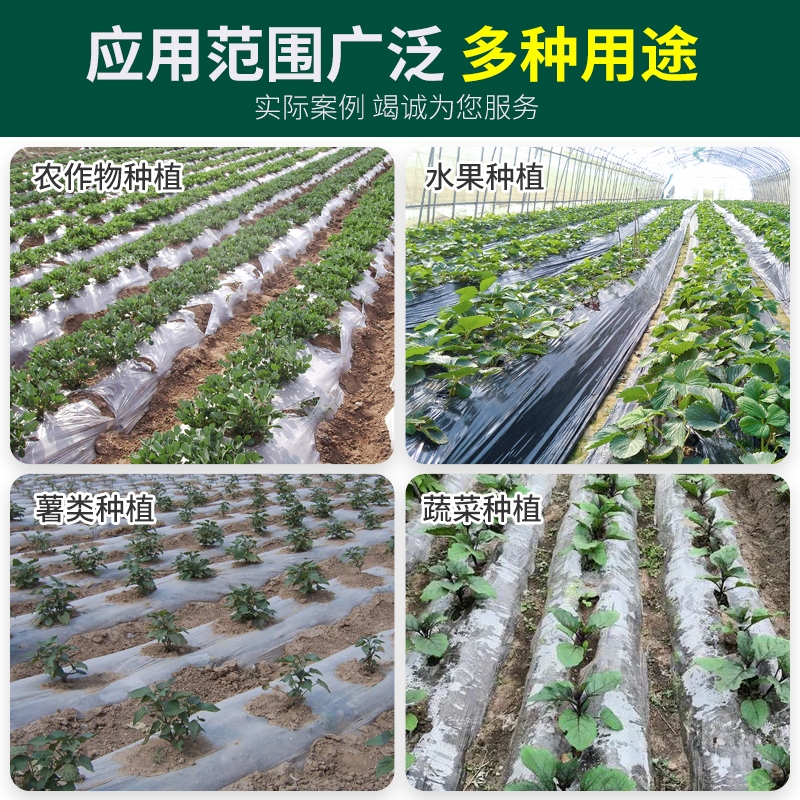 保温保湿白地膜大棚塑料薄膜白色地膜蔬菜种子过冬黑色农用工程膜 - 图3