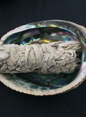 鼠尾草贝壳烟熏房间支架