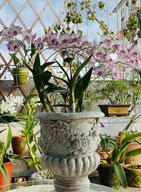 欧式风浮雕多肉绿植装饰摆件花器