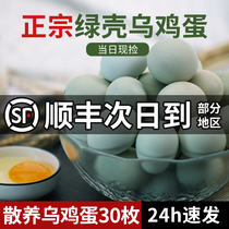 Crow Eggs Fresh Authentic Farmhouse Loose Raising Mountain Eggs Green Leather Eggs Bulky Eggs 40 Whole Boxes Green Shell Native Eggs