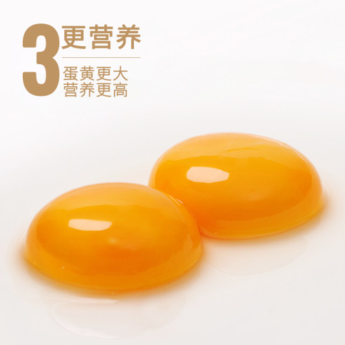 乡公馆土鸡蛋正宗农家散养鸡蛋新鲜批发整箱谷物草笨柴鸡蛋乌鸡蛋 - 图2