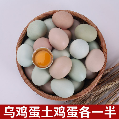 乡公馆土鸡蛋正宗农家散养鸡蛋新鲜批发整箱谷物草笨柴鸡蛋乌鸡蛋 - 图3