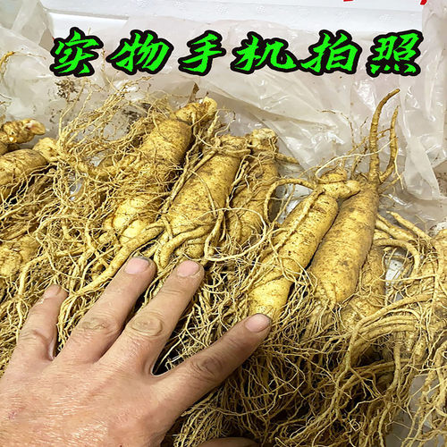 鲜人参500克泡酒大个长白山新鲜人参东北吉林现挖带土6年特大鲜参 - 图3
