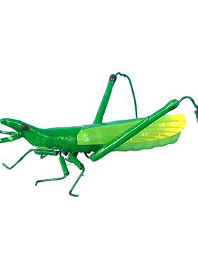 蝗虫冰箱贴酒柜车载装饰摆件