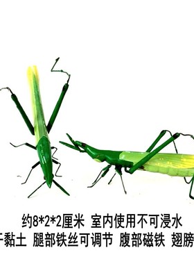 仿真蝈蝈昆虫冰箱贴甲虫螳螂蜻蜓知了蛐蛐蜜蜂盆景假山绿植车载创