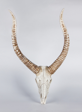 树脂仿真动物咖啡厅酒吧壁挂摆件