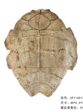 树脂化石甲骨文酒吧墙面教学龟壳