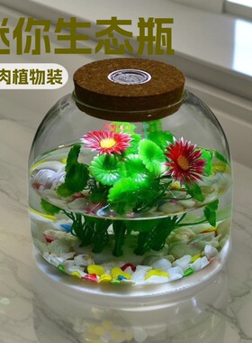 微景观生态瓶苔藓植物玻
