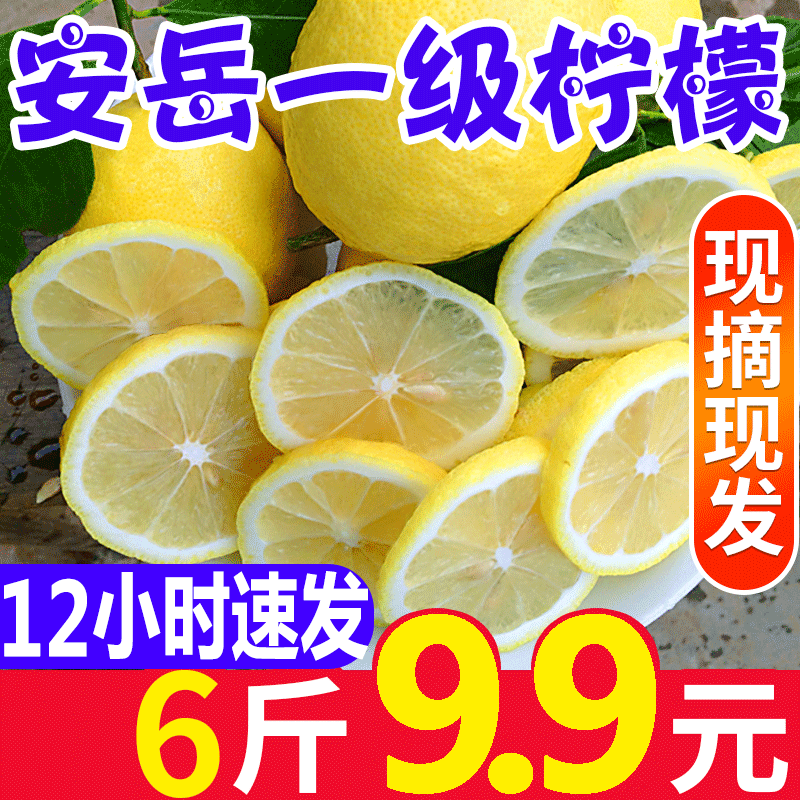 四川安岳柠檬6斤一级新鲜水果现摘应季皮薄香水黄柠檬当季包邮 四川安岳柠檬6斤一级新鲜水果现摘应季皮薄香水黄柠檬当季包邮