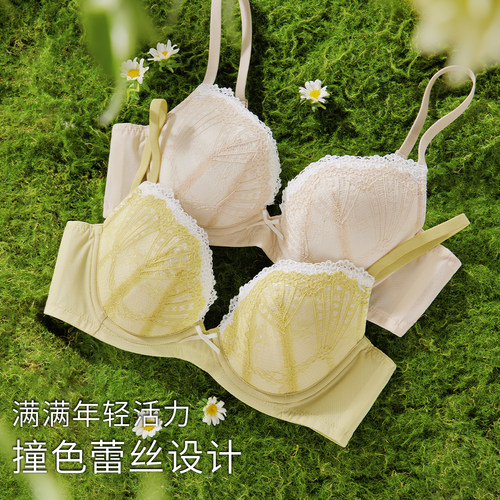 华歌尔Wacoal 蕾丝透气薄款舒适软钢圈文胸内衣女 WB34C4 - 图0