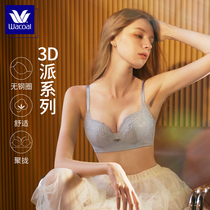 Warsong Blue Label Wacoal bra thin Lace Underwear Woman Patent 3 D Pi Coaleste Red Pint Soft Support Bra