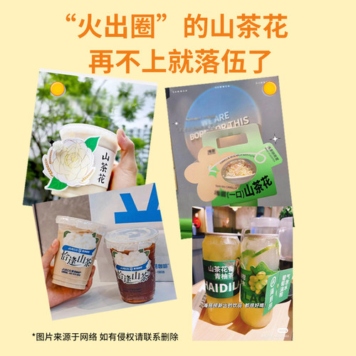 山茶花乌龙茶奶茶专用轻乳茶橙柠檬水果茶漫连锁品牌同款茶底500g - 图0