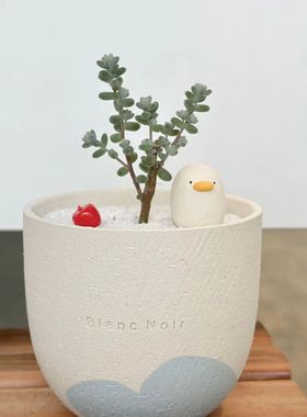 TeeUM陶土压盆石ins石头花盆周边