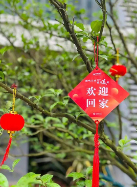 欢迎回家红色装饰吊牌定制