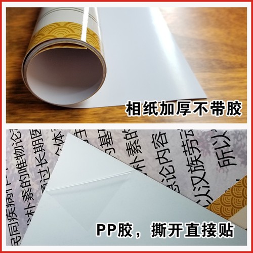 定制背诊图美容院中医养生馆宣传贴画五脏六腑背部反射区自粘海报 - 图2