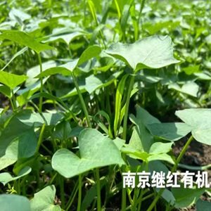 图3