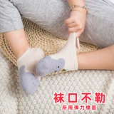 Детские хлопковые нескользящие демисезонные гетры, 6-12 мес., 3-4 лет, раннее развитие