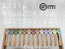 Spot Alumni Association Ins Colorful Baby Grade Wood Silicone Wood Handle Spoon Pet Cat Dog Mixed Grain Anti-Scraping Flowers