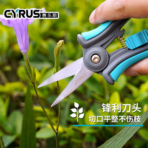 CYRUS赛乐斯盆栽剪刀-家用园艺花艺盆景插花鲜花修枝去叶不锈钢剪 - 图1