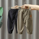 Осенние детские вельветовые бархатные штаны для мальчиков, коллекция 2023, в западном стиле