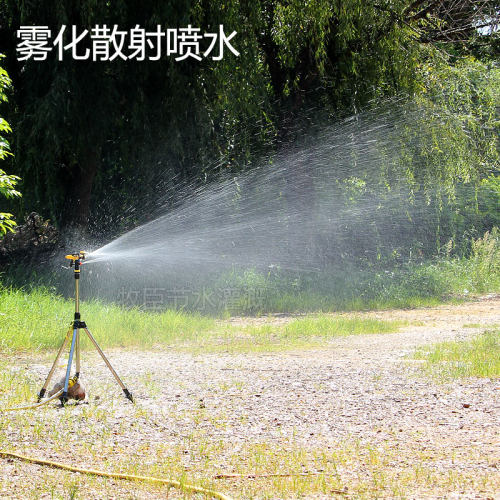 双喷黄摇臂草坪360度自动旋转喷头农业灌溉浇水果树园林绿化喷水 - 图1