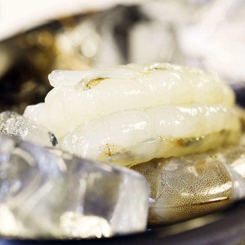 渔公码头盐冻海捕大虾渤海湾大虾新鲜活冻对虾无冰大连海鲜水产,淘宝优惠券,粉丝福利购,淘宝优惠卷