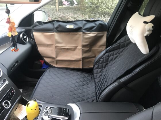 Anti-scratch door for pet dogs