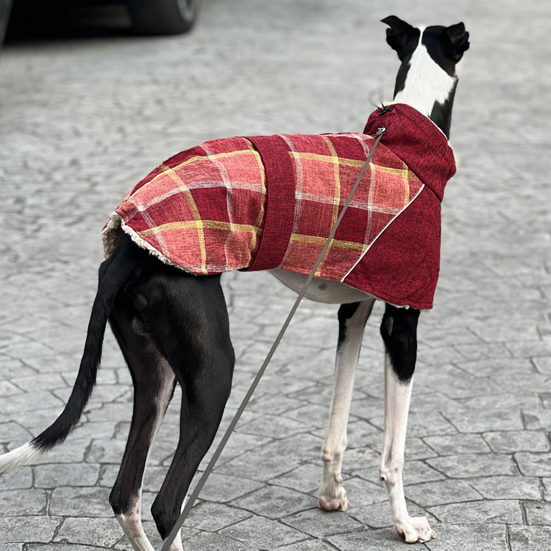 灵缇犬棉衣 惠比特加厚保暖冬装 细犬魏玛猎犬户外防寒衣中大型犬 - 图2