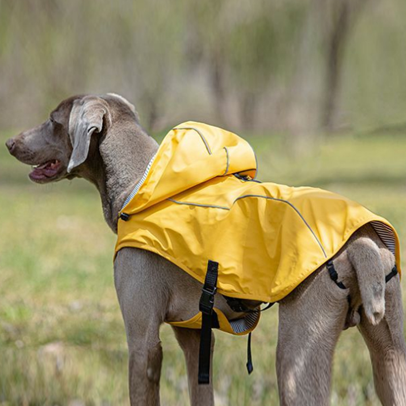 宠物狗狗雨衣 中大型犬雨披带帽防水防风冲锋衣魏玛猎犬户外服 - 图1