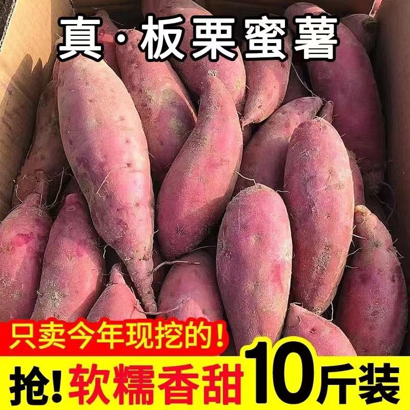 正宗板栗薯黄心现挖新鲜板栗红薯甜糯无筋番薯富硒地瓜蜜薯香薯