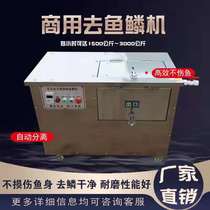 Fully automatic fish scale machine fish scale planing commercial scraping fish scale machine large stainless steel defish scale machine scraping fish scale deity