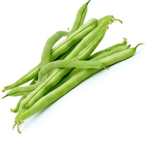 芸豆种子豆角种籽四季豆扁豆冬天秋冬季秋后种的蔬菜孑籽种菜种籽 - 图3