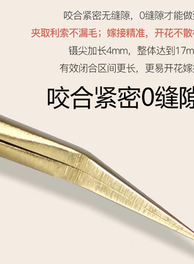 嫁接睫毛镊子美睫专用高精度专业开花金羽夹海豚夹美睫师种睫毛夹