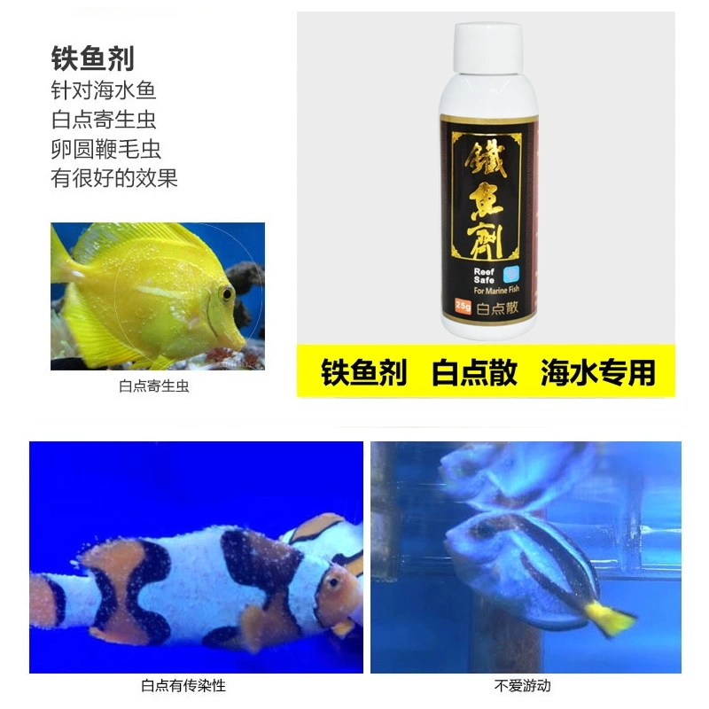 铁鱼剂 新包装白点散 海水鱼蓝吊粉蓝高效免疫白点病 珊瑚缸可用 - 图1