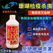 American Two Small Fish Insect Killer Water Coral Quarantine SPS Quarantine Water Besides Lentile Red Worm Sea Spider Sea Cylinder Potion