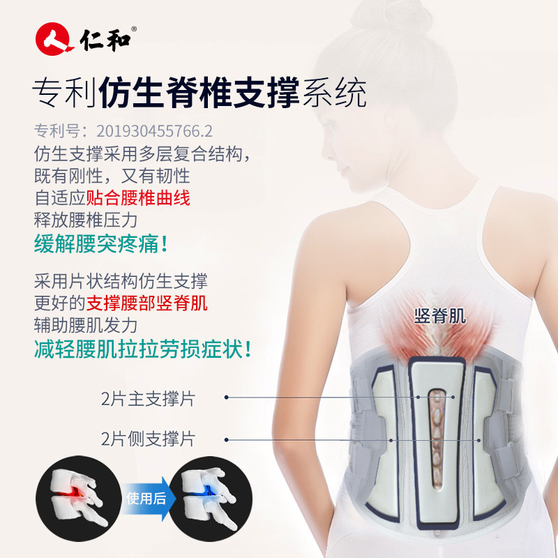 医疗腰封专用腰肌仁和医用护腰带 仁和护具（器械）
