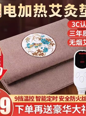 理疗艾绒电加热艾灸毯高档电热毯