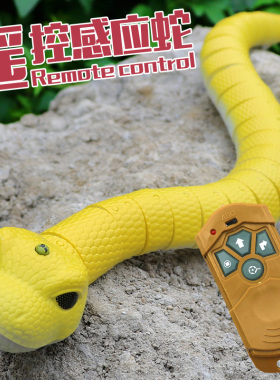 2024新款玩具蛇整人恶搞遥控仿真蛇网红爆款好玩解压儿童男孩女孩