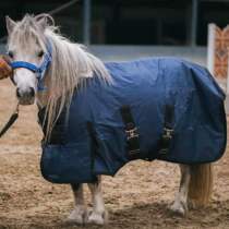 Winter 900D short horse waterproof horseclothes pony horse dress Mini MPONY waterproof horse Kannaran Horse with 02