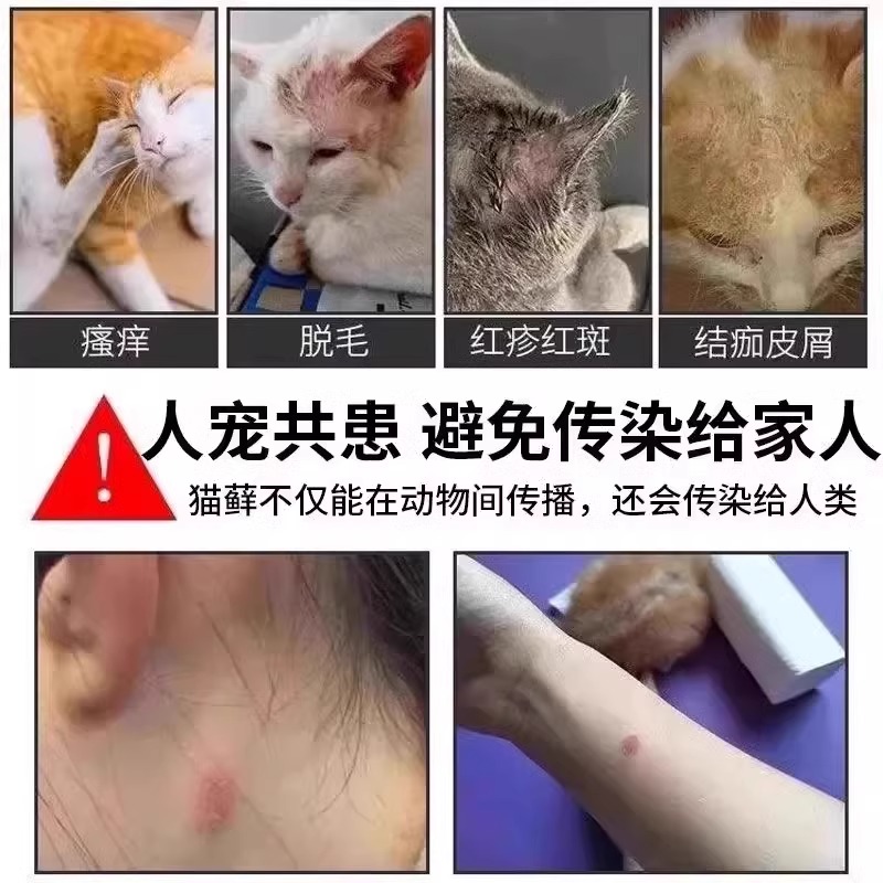 猫癣专用特效药治疗猫咪皮肤病真菌感染去幼猫藓外用的药喷雾剂LY