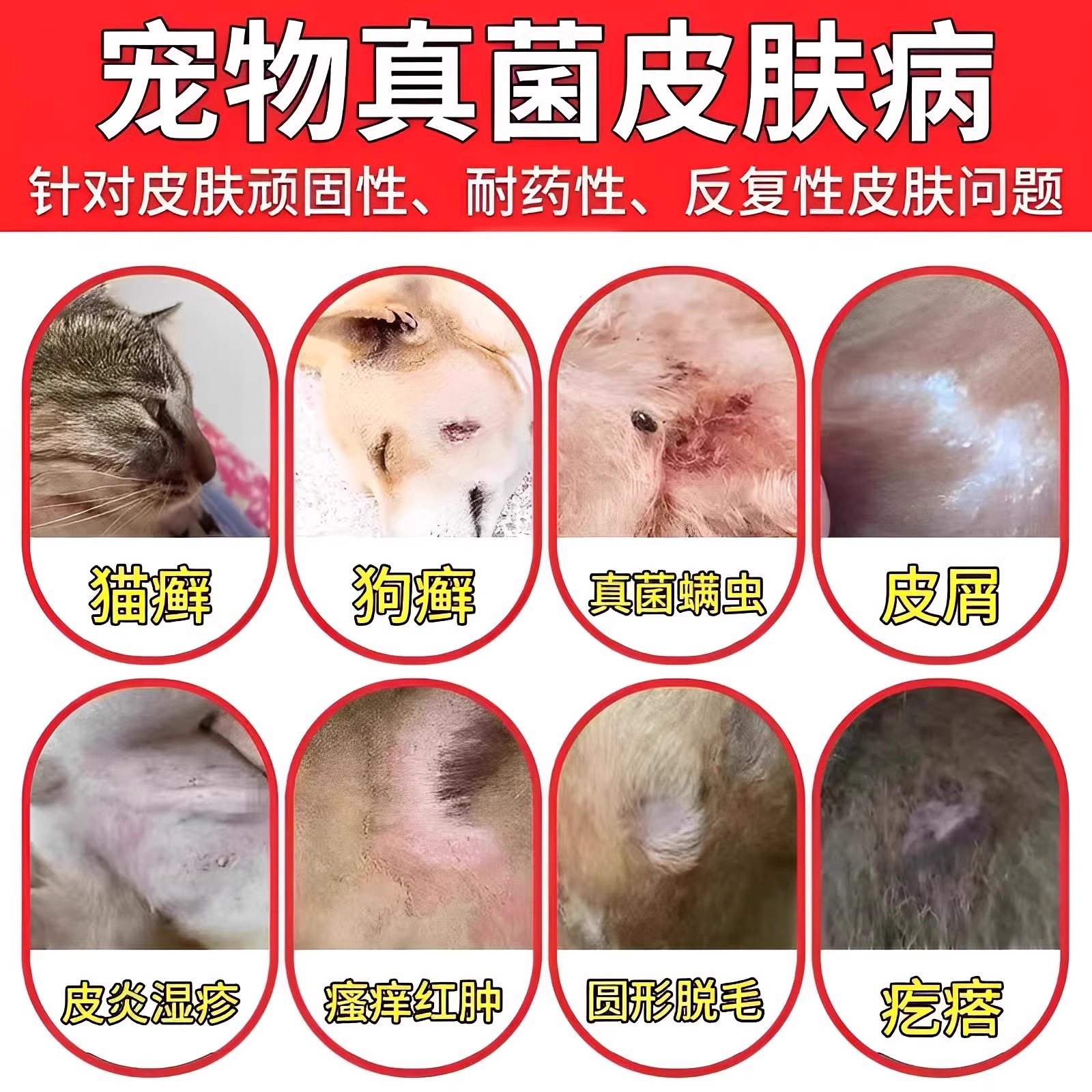 猫癣专用特效药治疗猫咪皮肤病真菌感染去幼猫藓外用的药喷雾剂LY