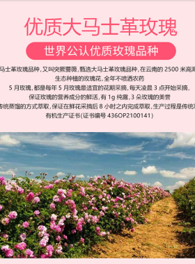 神琦大马士革玫瑰纯露补水保湿喷雾精华水清爽不油腻改善暗沉肤色