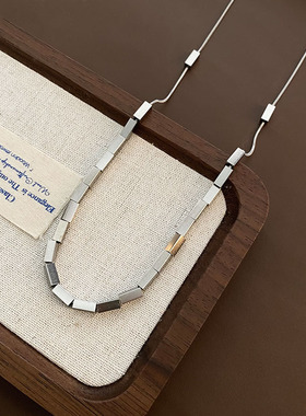 欧美设计感小方块蛇骨链项链女夏ins潮2024年新款轻奢小众锁骨链